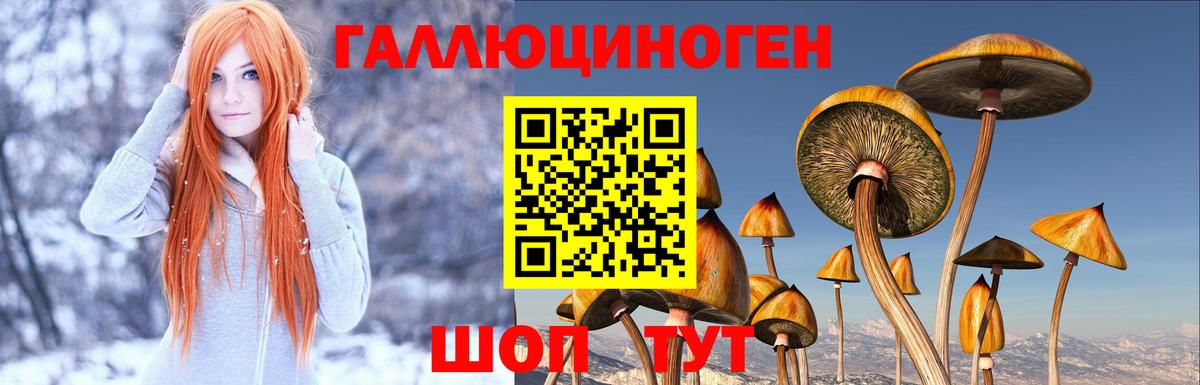 Галлюциногенные грибы ЛСД  Галлюциногенные грибы MAGIC MUSHROOMS  Вход с VPN  Зеленогорск 